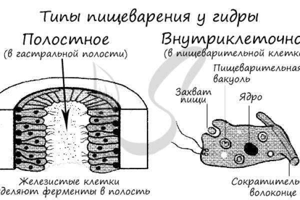 Kraken купить клад