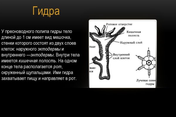 Какая ссылка у кракена