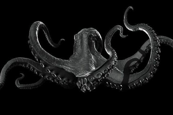 Kraken cc ссылка