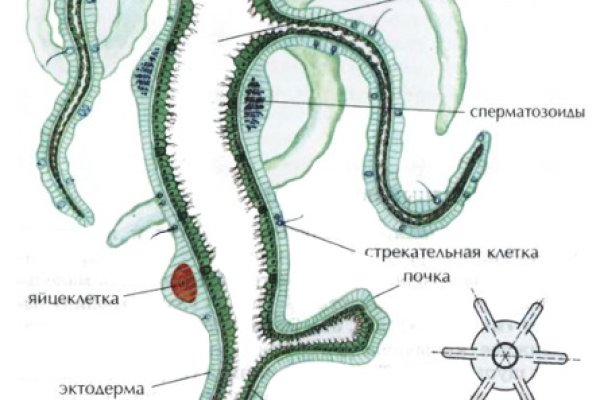 Кракен маркет kr2web in