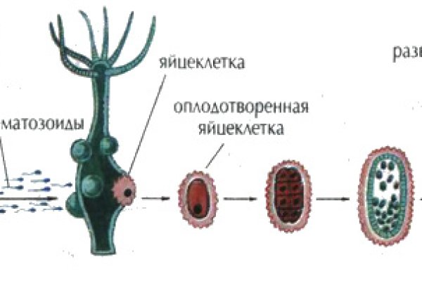 Ссылка на кракен реальная