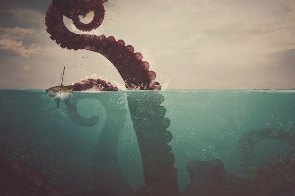 Как вывести деньги с kraken